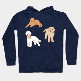 Golden Doodle illustration pack Hoodie